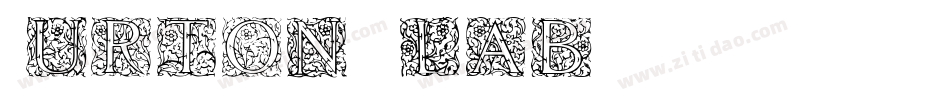 Burton Slab字体转换